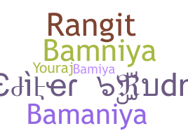 ニックネーム - Bamniya