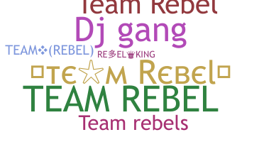 ニックネーム - TeamRebel