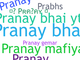 ニックネーム - Pranaybhai