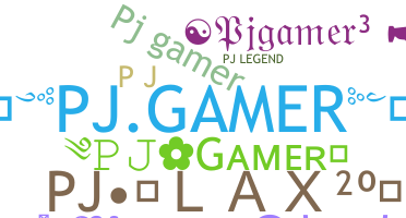 ニックネーム - PJgamer