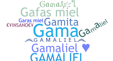ニックネーム - Gamaliel