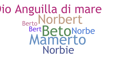 ニックネーム - Norberto