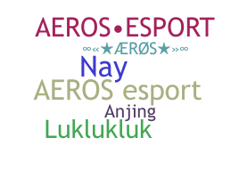 ニックネーム - Aeros