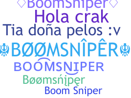 ニックネーム - BoomSniper