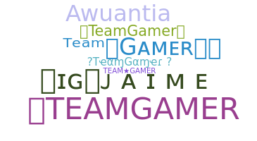 ニックネーム - TeamGamer