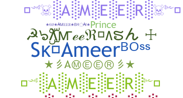 ニックネーム - Ameer