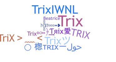 ニックネーム - tRiX
