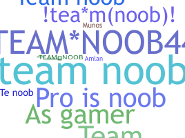 ニックネーム - TeamNoob
