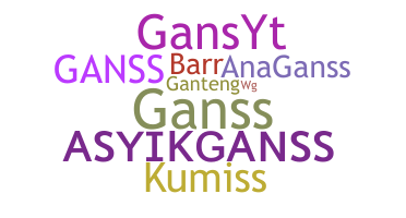 ニックネーム - GansS