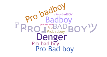 ニックネーム - ProBadboy