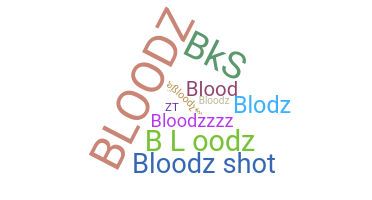 ニックネーム - bloodz