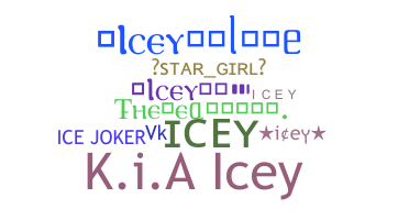 ニックネーム - icey