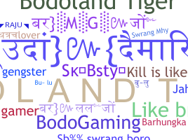 ニックネーム - Bodoland