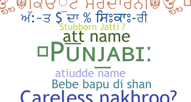 ニックネーム - Punjabi