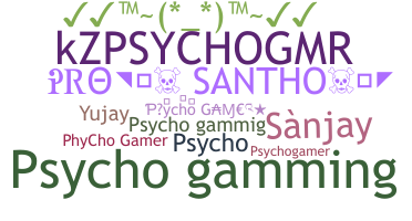 ニックネーム - PsychoGamer