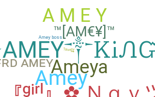 ニックネーム - AmeY