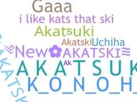 ニックネーム - akatSKI
