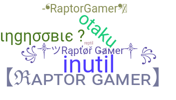 ニックネーム - Raptorgamer