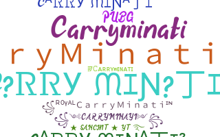 ニックネーム - CarryMinati