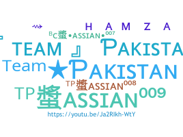 ニックネーム - TeamPakistan
