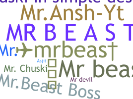 ニックネーム - mr.beast