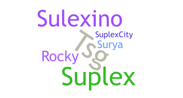 ニックネーム - sUpLeX