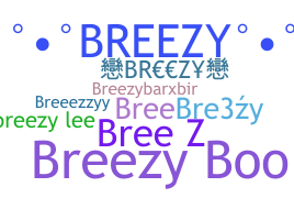 ニックネーム - Breezy