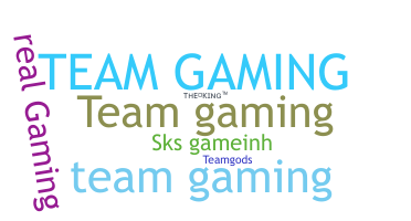 ニックネーム - TeamGaming