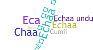 ニックネーム - echaa