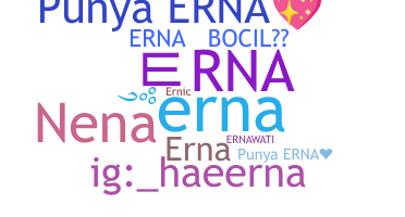 ニックネーム - erna