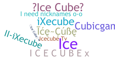 ニックネーム - icecube