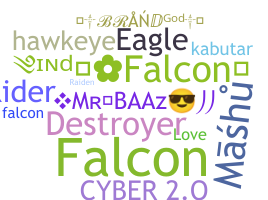 ニックネーム - Falcons