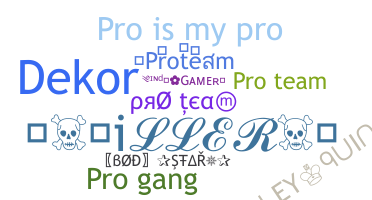 ニックネーム - ProTeam