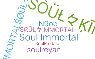 ニックネーム - SoulImmortal