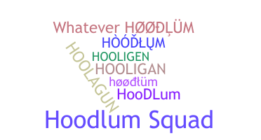 ニックネーム - hoodlum