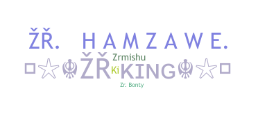 ニックネーム - ZRKing